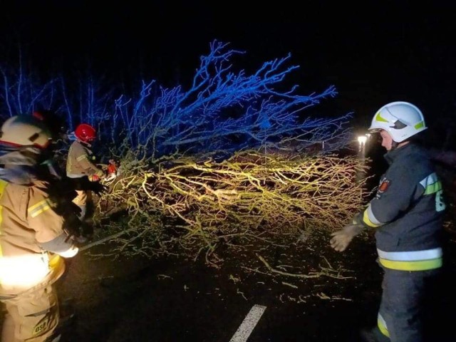 Strażacy OSP Gościno interweniowali m.in.na drodze 162