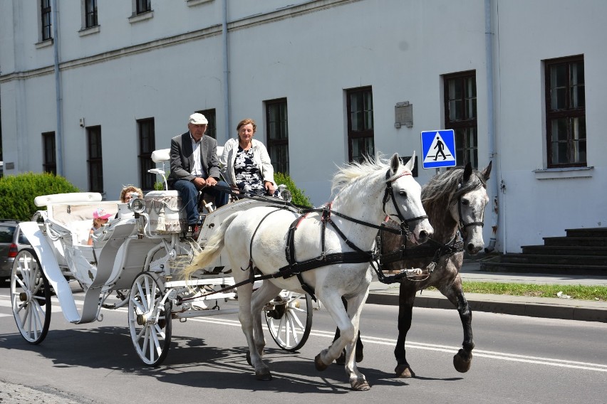 Zwiedzanie Zamościa z audioguidem jako alternatywne rozwiązanie. Teraz sami decydujemy, co chcemy zobaczyć, gdzie i w jakim czasie [Zdjęcia]