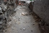 Ludzkie szczątki i fragmenty murów obronnych odnalezione w Tarnowie [3.07.]