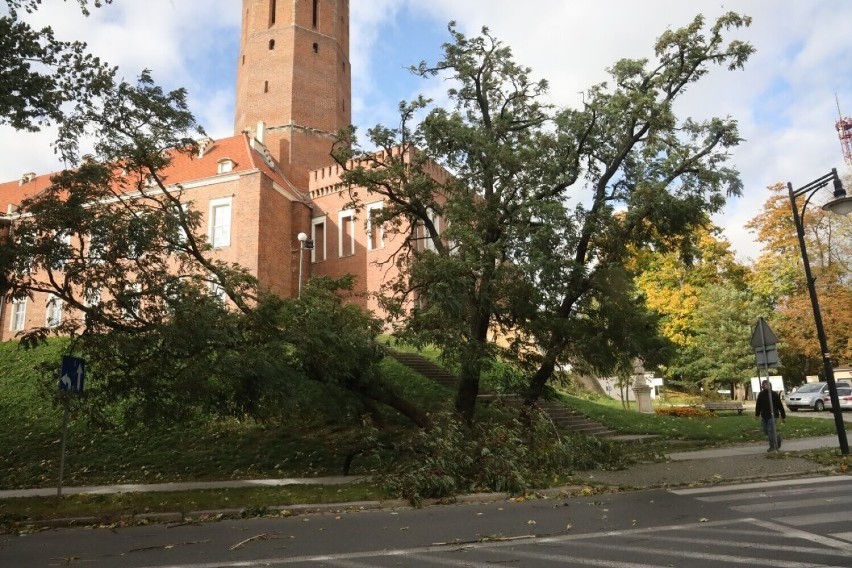 Uwaga, nadciąga wichura! IMGW wydał ostrzeżenie meteorologiczne dla Legnicy i powiatu legnickiego. Czeka nas niebezpieczny koniec tygodnia