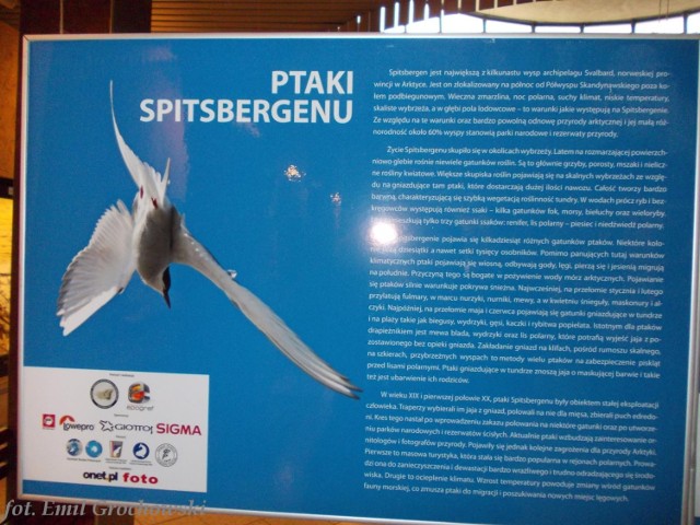 Wystawa Ptaki Spitsbergenu w płockim zoo