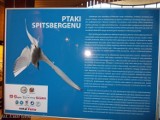 Wystawa Ptaki Spitsbergenu w płockim zoo [ZDJĘCIA]