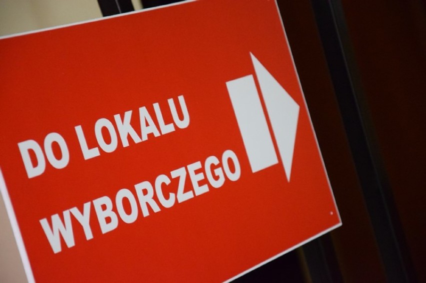 Eurowybory 2019. Jak zagłosować? Jak liczone są głosy?