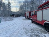 Wypadek w gminie Krokowa: ciężarówka przewożąca 25 ton ryb przewróciła się i zablokowała drogę | NADMORSKA KRONIKA POLICYJNA