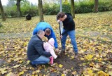 Gmina Pszczółki: Park w Ulkowych zyskał 20 lip oraz 4 drzewa owocowe. Radni i mieszkańcy posadzili drzewa [ZDJĘCIA]