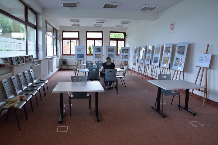 Sulechowska biblioteka zaprasza czytelników. Na miejscu...