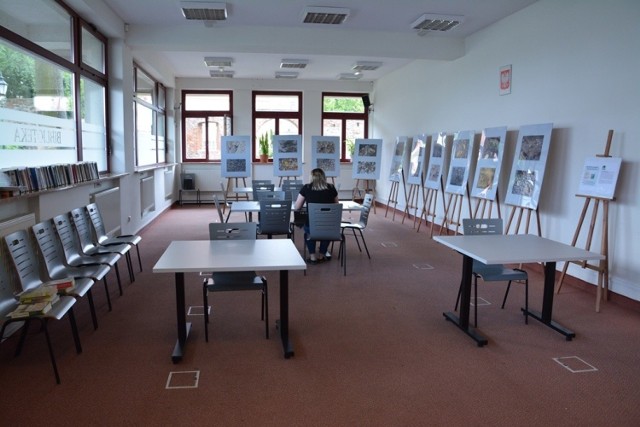 Sulechowska biblioteka zaprasza czytelników. Na miejscu można wypożyczyć książki, prasę, skorzystać z ksero czy skanera.