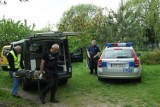 Bełchatów. Chciał zabić psa siekierą. 38-latkowi z gminy Drużbice może grozić do 3 lat więzienia