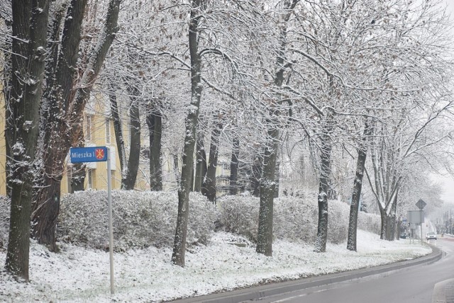 Czy mieszkańcy Kraśnika powinni martwić się "bestią ze wschodu"? Przejdź do galerii i zobacz, jaką pogodę przewidują synoptycy dla Kraśnika.