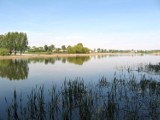 Spotted Jezioro Średzkie: Miejsce na początek randki w Środzie