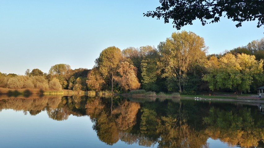 Złota jesień w obiektywie