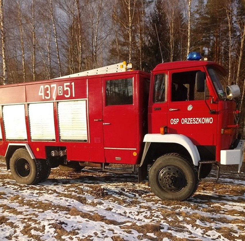 W Nadleśnictwie Hajnówka spłonęły brogi siana przeznaczone...