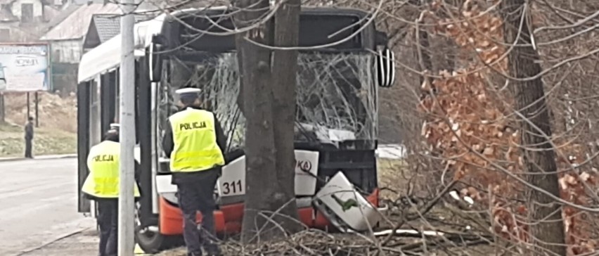 Jastrzębie-Zdrój: autobus uderzył w drzewo, dziewięć osób...