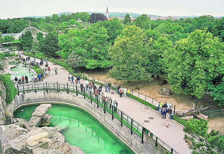 Ogród Tiergarten Schönbrunn w Wiedniu został otwarty 260 lat...