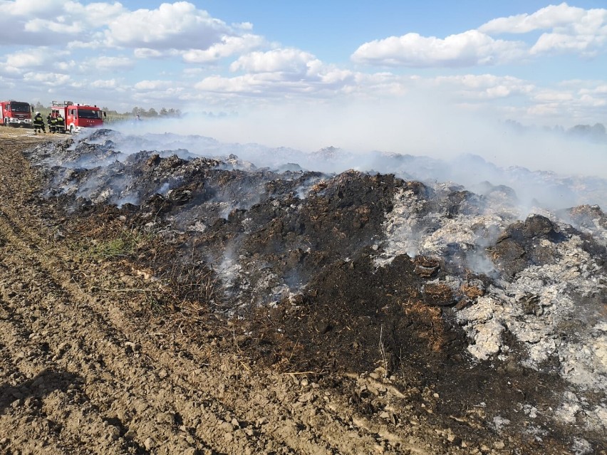 Powiat nowotomyski. Sobota w ogniu - pożary zbóż w Brodach i Bolewicach [FOTO]