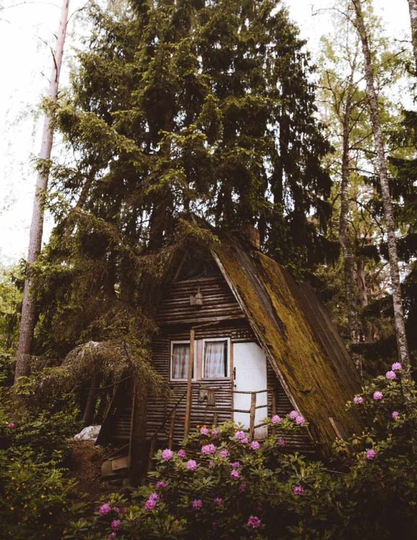 W tych miejscach chcielibyście zamieszkać - domki w lesie, nad jeziorem. To marzenie każdego, kto kocha naturę! 