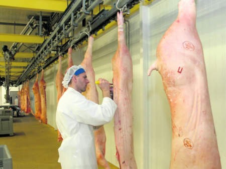 Wielkopolskie zakłady mięsne są łakomym kąskiem dla wielu inwestorów - fot.  Janusz Romaniszyn