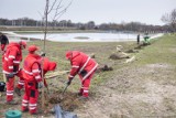 Drzewka posadzone, staną ławki - nad zbiornikiem wodnym na osiedlu nad Potokiem w Radomiu będzie można pospacerować i posiedzieć
