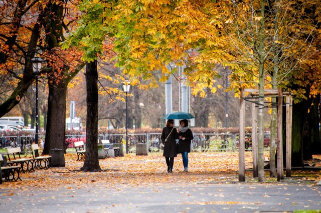 Parasol to tej jesieni podstawowe wyposażenie pieszego. Wciąż będzie padać, a w połowie miesiąca możliwy jest pierwszy śnieg.