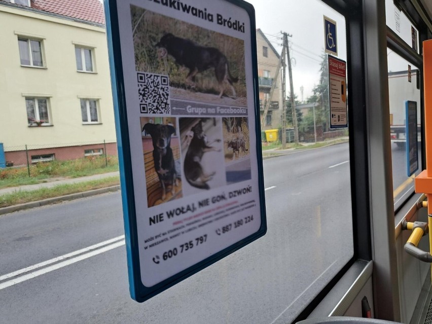 Plakat w autobusie MZK