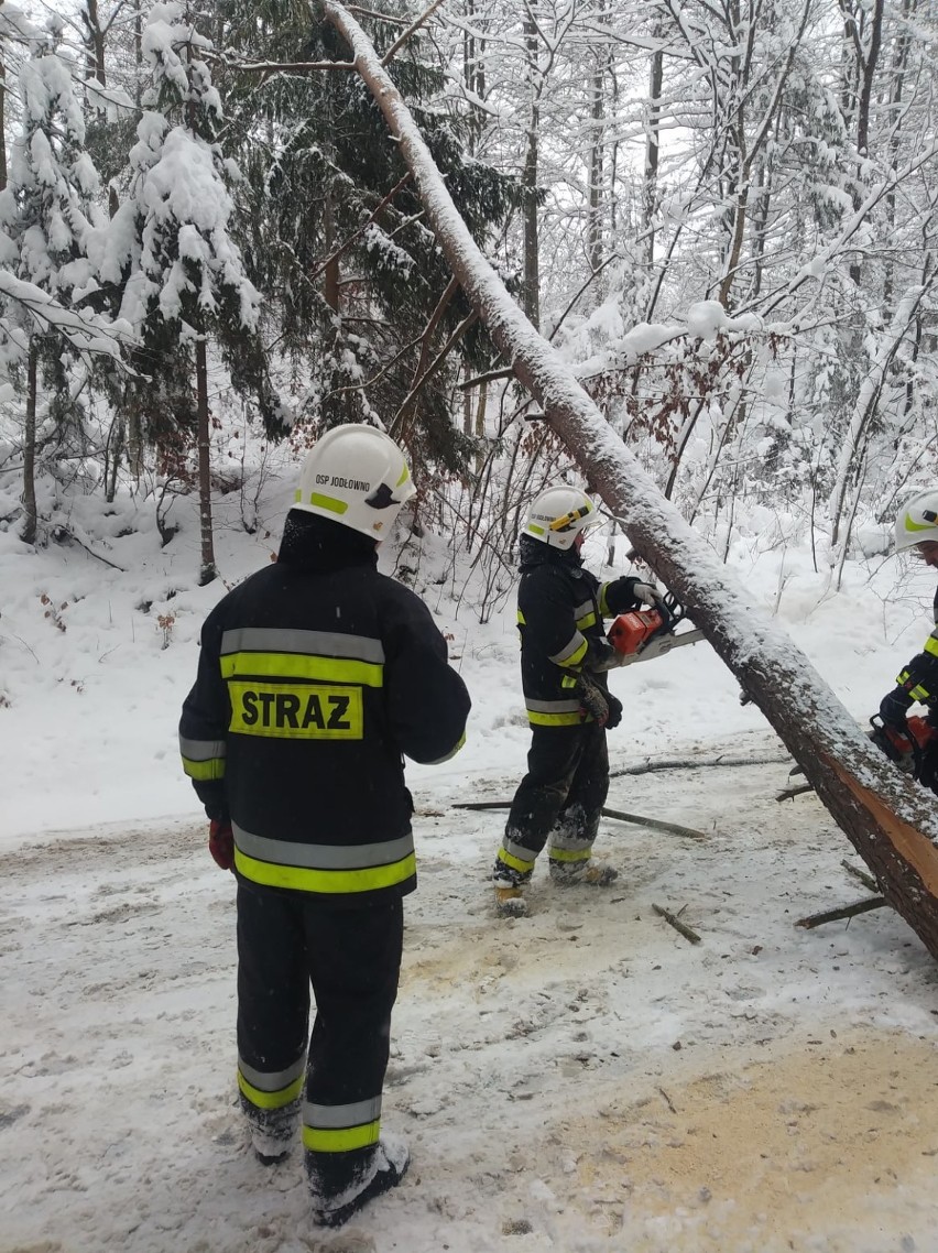 Zima w powiecie gdańskim. Powalone drzewa zagradzają drogi. Strażacy pracują w dzień i w nocy |ZDJĘCIA