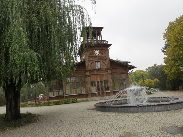 Jaś i Małgosia to nie jedyna fontanna na terenie parku Zdrojowego. Od wschodniej strony, przy wejściu do parku od ul. Traugutta wciąż jeszcze tryska wodą fontanna Żabka.
