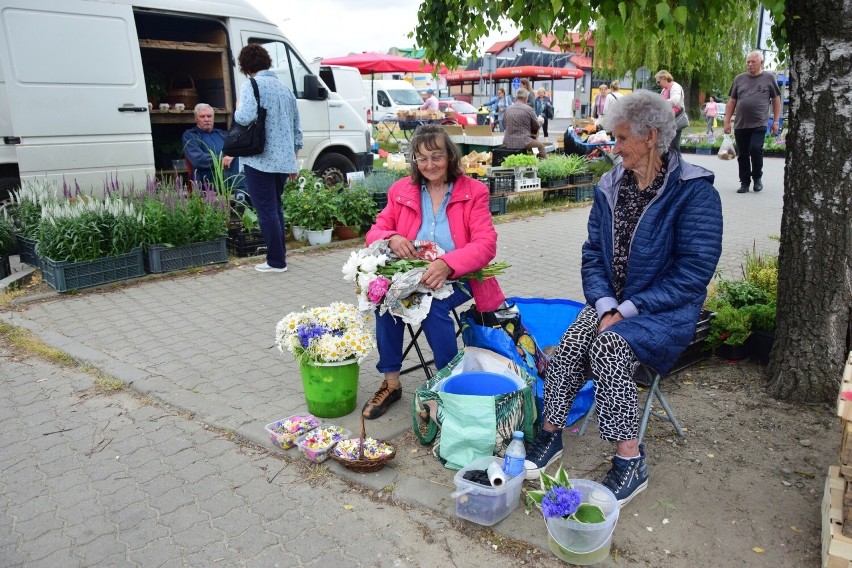 Tanie truskawki w Tarnobrzegu. Na targu są kwiaty, sadzonki i przeróżne towary. Co kupowali klienci? Zobacz ceny i zdjęcia