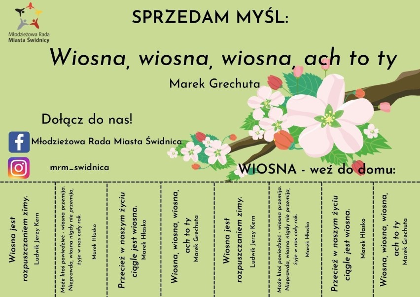 Młodzi radni ze Świdnicy powitają wiosnę plakatami z wiosennymi cytatami 