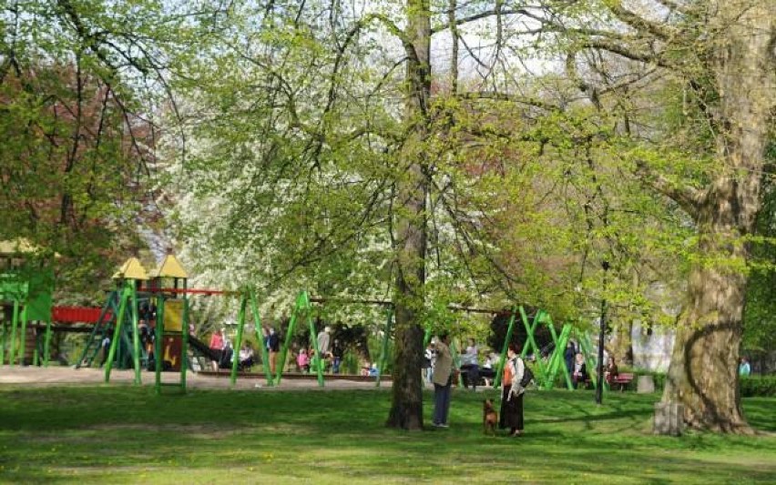 Gorzów: 3 maja, Park Róż, 10.00-13.00, Majówkowe śniadanie na trawie: grillowanie, targ kulinarny, a dzieci będą mogły bawić się, puszczać bańki mydlane, malować i grać w piłkę