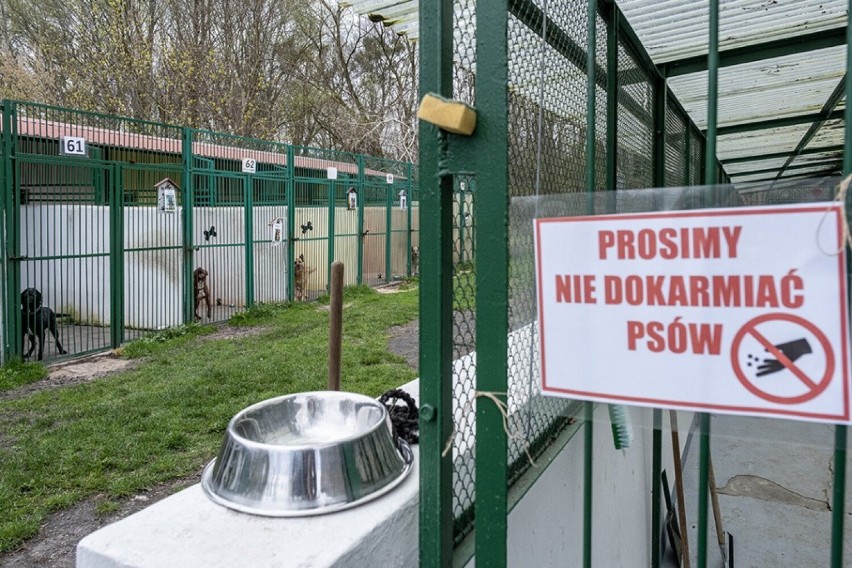 Schronisko dla bezdomnych zwierząt w Toruniu po remoncie