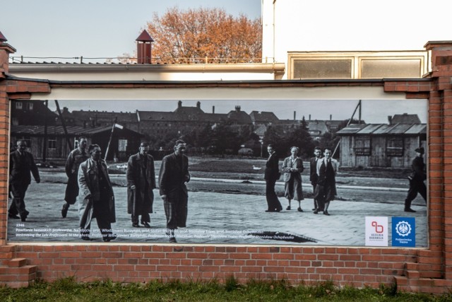 75-lecie Politechniki Śląskiej w Gliwicach. Na kampusie zaprezentowano murale.

Zobacz kolejne zdjęcia. Przesuwaj zdjęcia w prawo - naciśnij strzałkę lub przycisk NASTĘPNE
