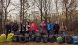 Jaworzno: Trash Challenge w Jaworznie. Zobaczcie pierwsze efekty FOTO