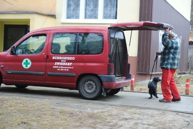 W mieszkaniu na drugim piętrze zamkniętych było 6 psów. Kolejne dwa martwe szczeniaki leżały na balkonie.