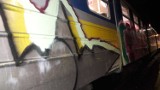 Grafficiarze pomalowali wagon SKM na bocznicy w Gdyni Chyloni [ZDJĘCIA]