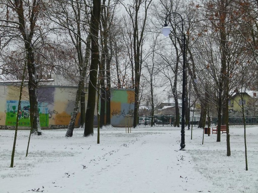 Zimowa odsłona Parku Miejskiego w Zduńskiej Woli