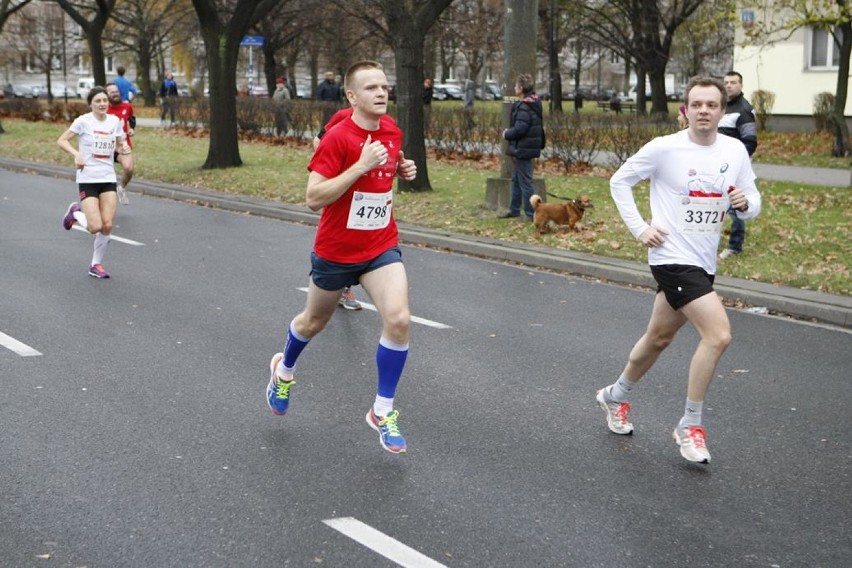 Bieg Niepodległości 2015. Zobacz fotorelację! [CZĘŚĆ CZWARTA]