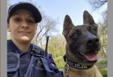 Policja Gniezno. Pies tropiący pomógł w odnalezieniu zaginionego