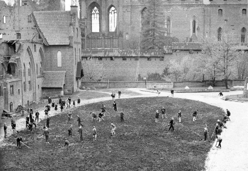 Malbork. "Kamienie milowe" w historii Muzeum Zamkowego. Zobacz wystawę o powojennej odbudowie i innych dokonaniach malborskiej instytucji