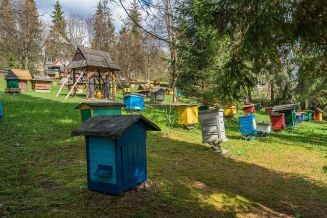 Dotychczas Kamianna znana była z pszczelarstwa. Teraz może stać się uzdrowiskiem, jeśli potwierdzone zostanie przypuszczenie o występowaniu na tym terenie wód leczniczych