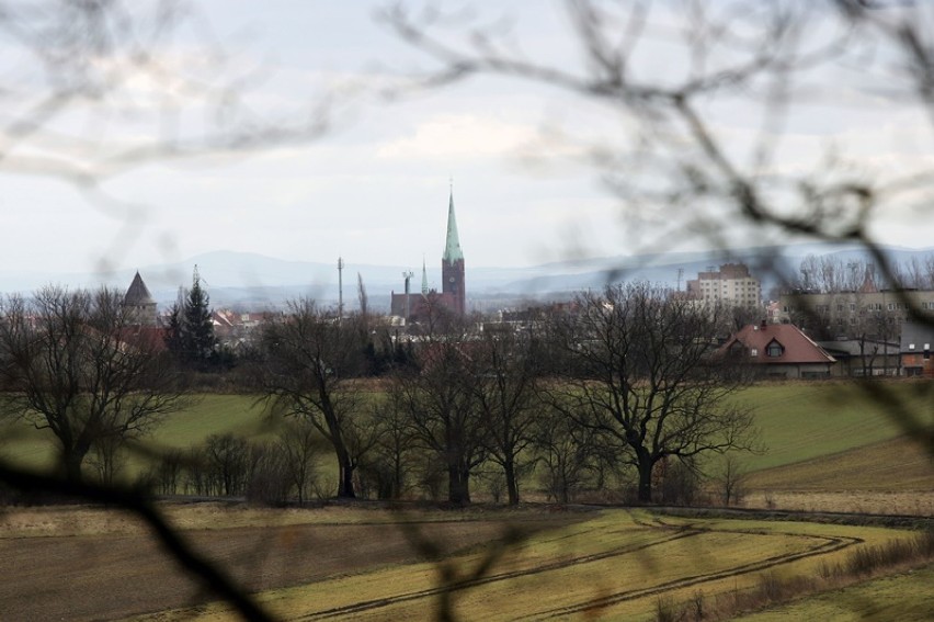 Panorama Legnicy z górki w lasku przy ulicy Polkowickiej