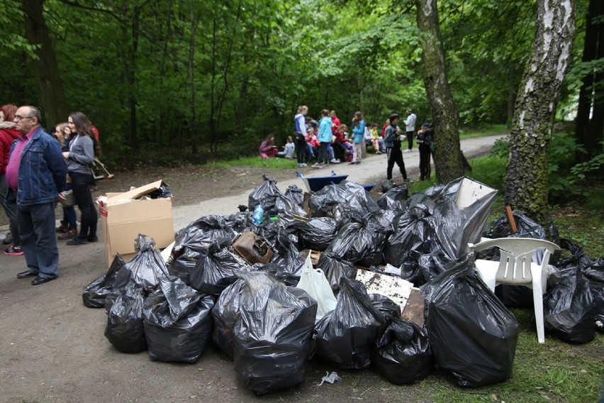 Czyste Miasto Siemianowice: Mieszkańcy posprzątali Lasek...