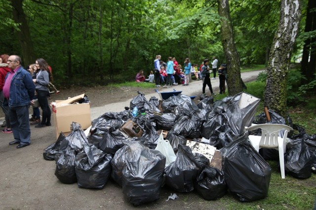 Czyste Miasto Siemianowice: Mieszkańcy posprzątali Lasek Bytkowski