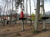 Park linowy w Słupsku: Leśne pole rozrywki w Lasku Północnym [ZDJĘCIA]