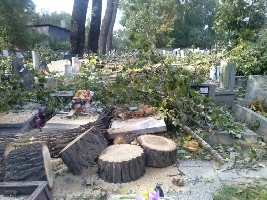 Drzewa przewróciły się na nagrobki na cmentarzu w Załężu