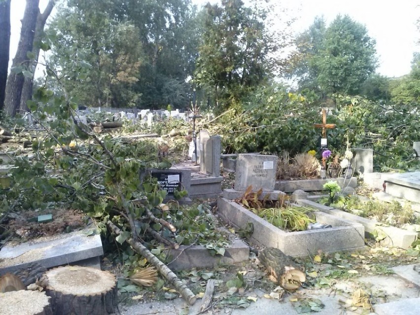 Drzewa przewróciły się na nagrobki na cmentarzu w Załężu