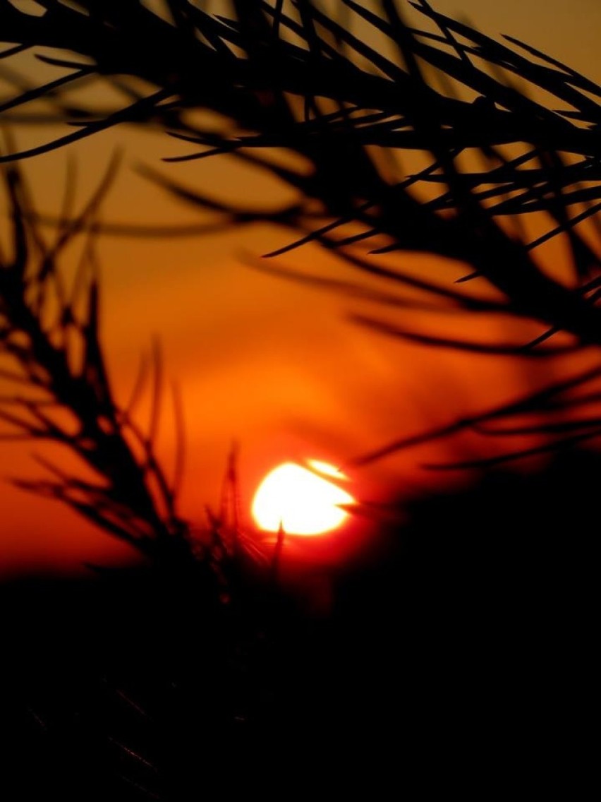 Zachód słońca na górze Malnik zapiera dech [ZDJĘCIA]