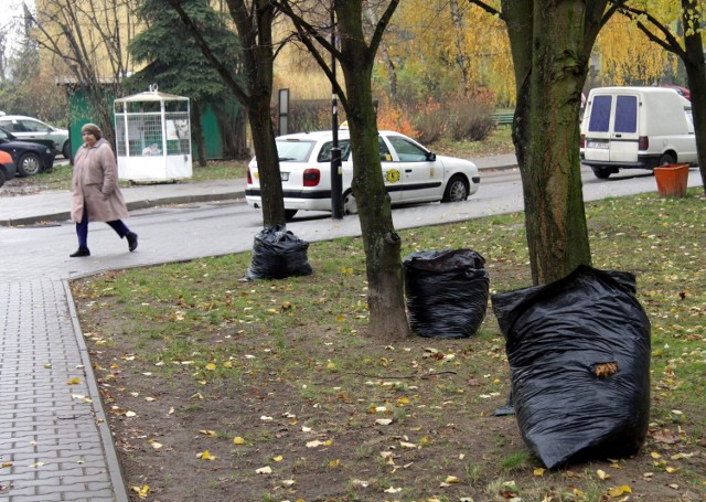 Za utrzymanie i odśnieżanie  pięciu ulic na osiedlu Błonie odpowiada miasto