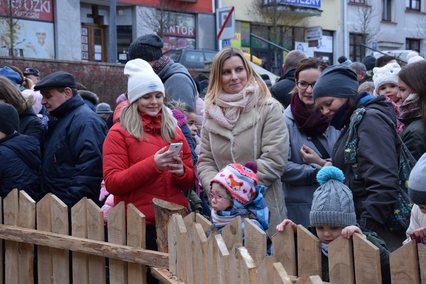 Gorlice. Drugi dzień świątecznego jarmaku na Rynku - żywa szopka, koncert kolęd i Mikołaj