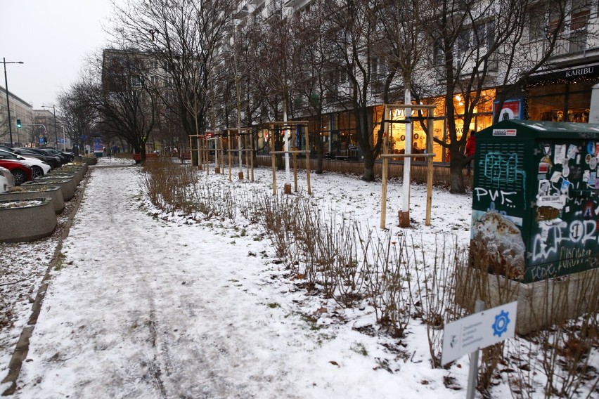 Warszawa zyskała w centrum nowy park kieszonkowy