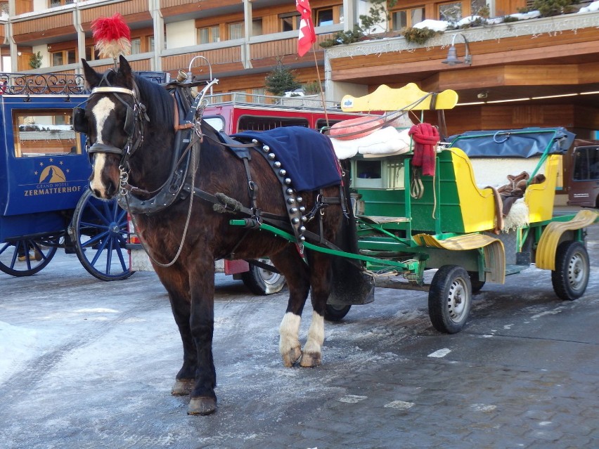 Sani ani płóz nie widać, natomiast jeździ sporo...